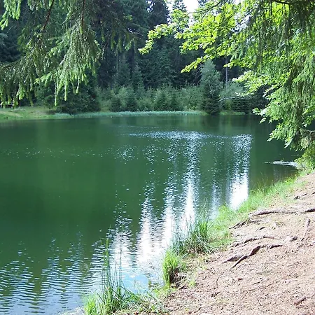 Semesterbostad Gruppenhaus Mit German Heimkino, 18 Personen *