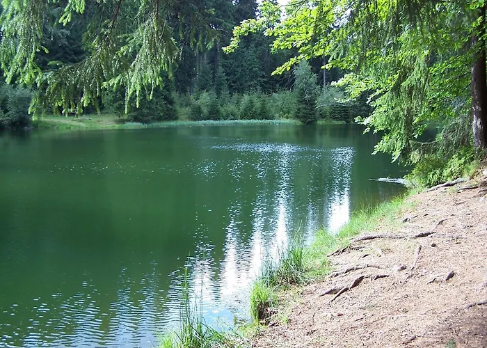 Feriehus Gruppenhaus Mit German Heimkino, 18 Personen *